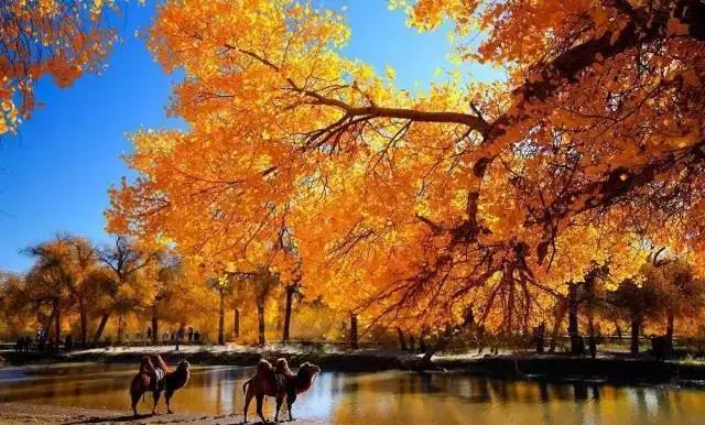 1536566844692983.jpg 1.jpg