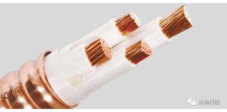 1593157202961329.jpg 641.jpg