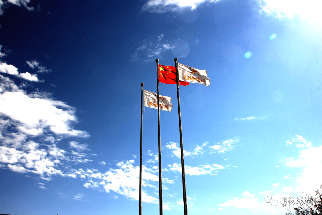 1602644785932025.png 640.png