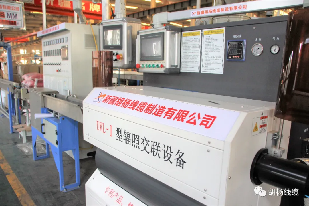 1602647932629554.jpg 640.jpg