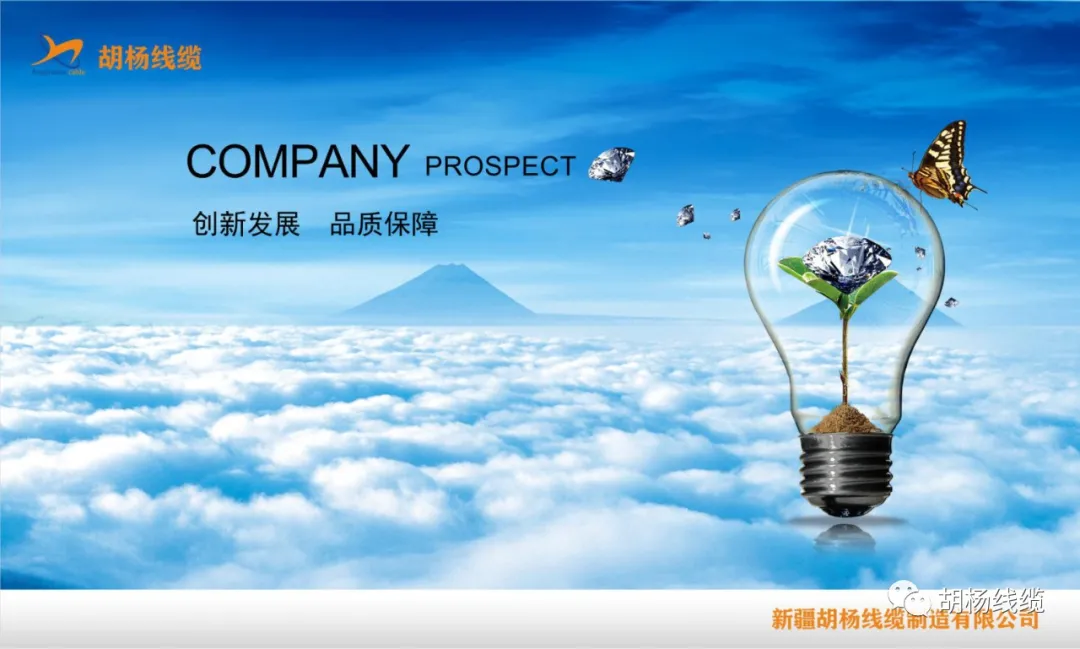 1602650955101412.jpg 2.jpg