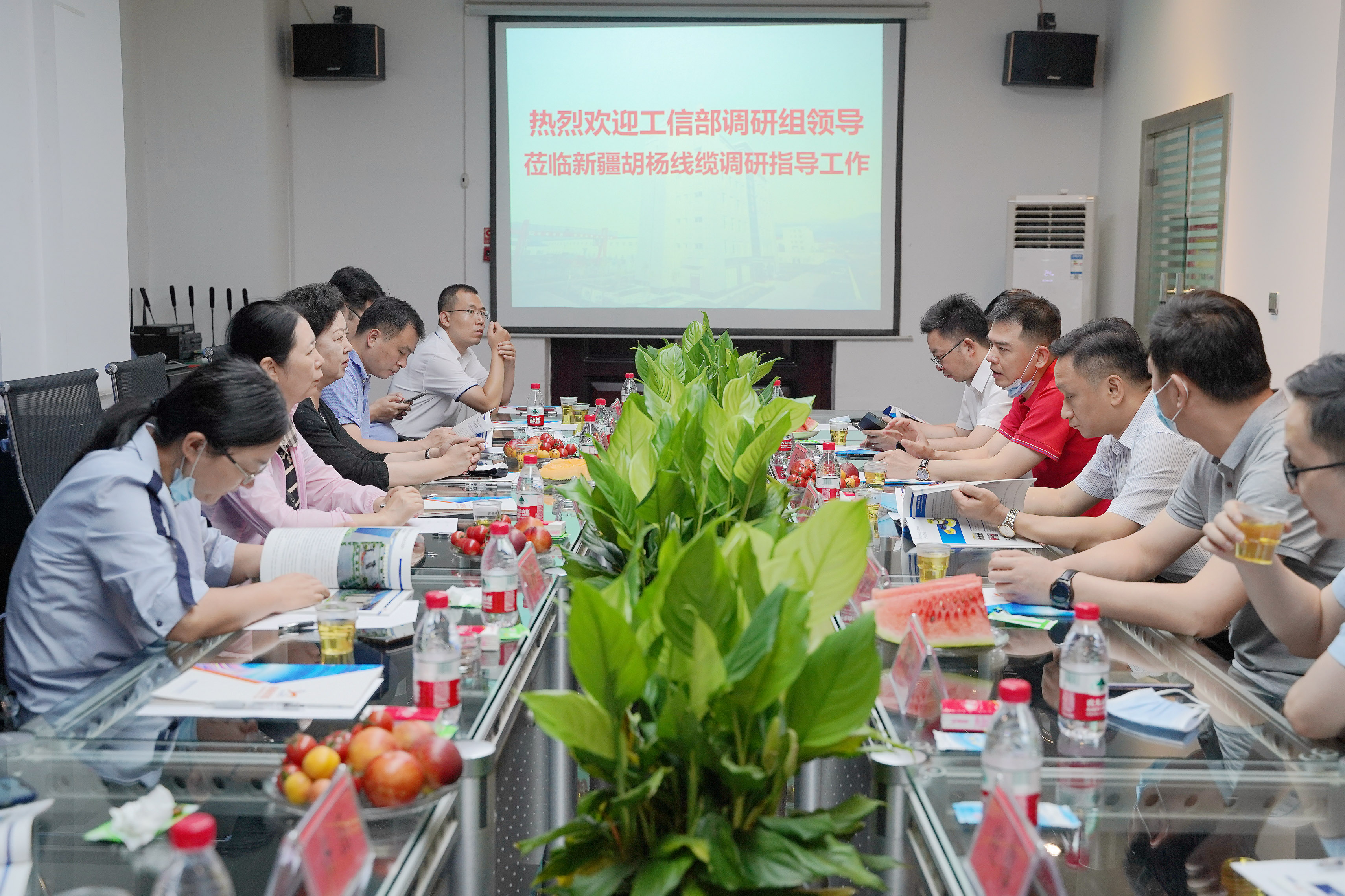 1626682545125575.jpg 1626682545125575.jpg