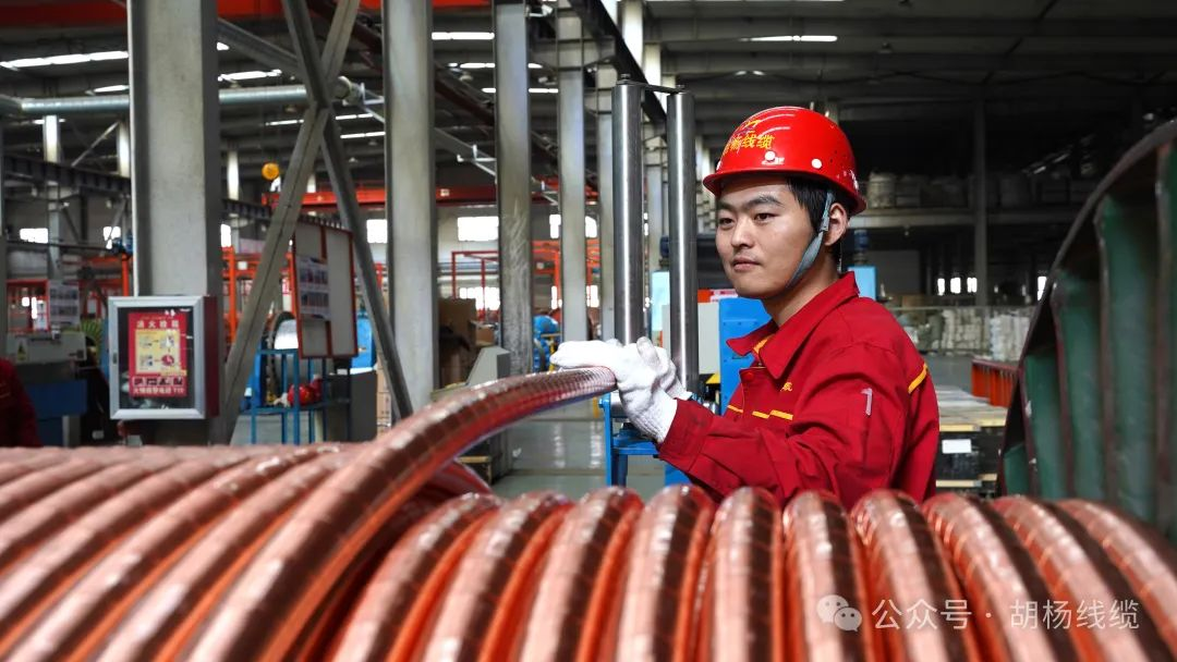 1730087853940889.png 圖片 1.png