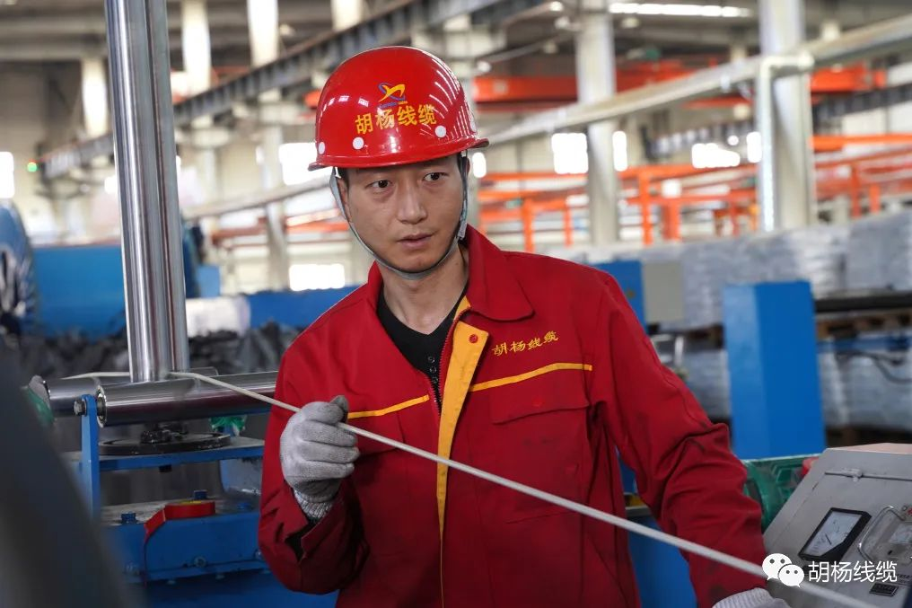 1748581775969893.png 圖片 2.png