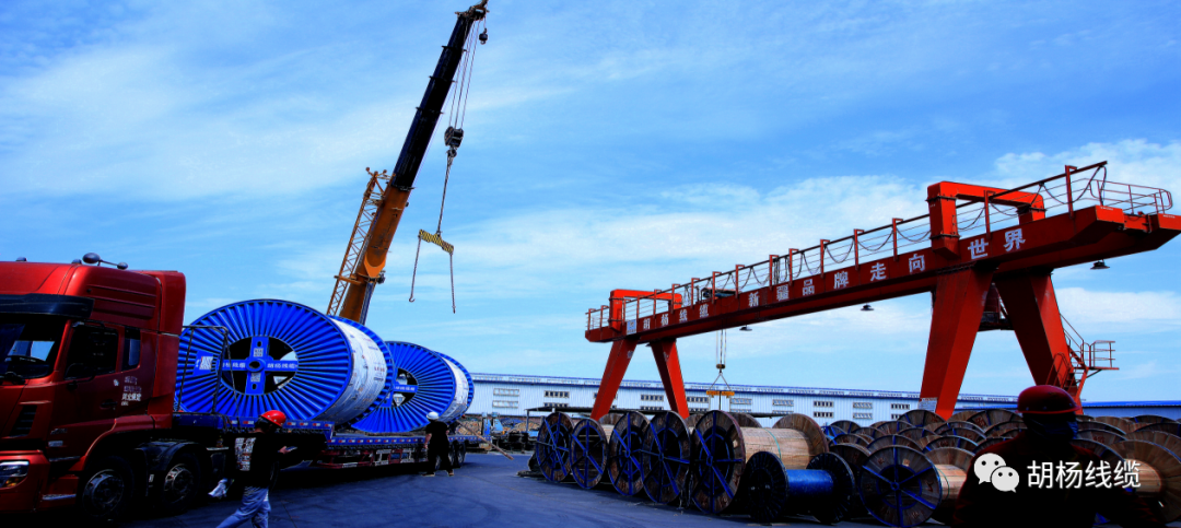 1748581808469175.png 圖片 3.png