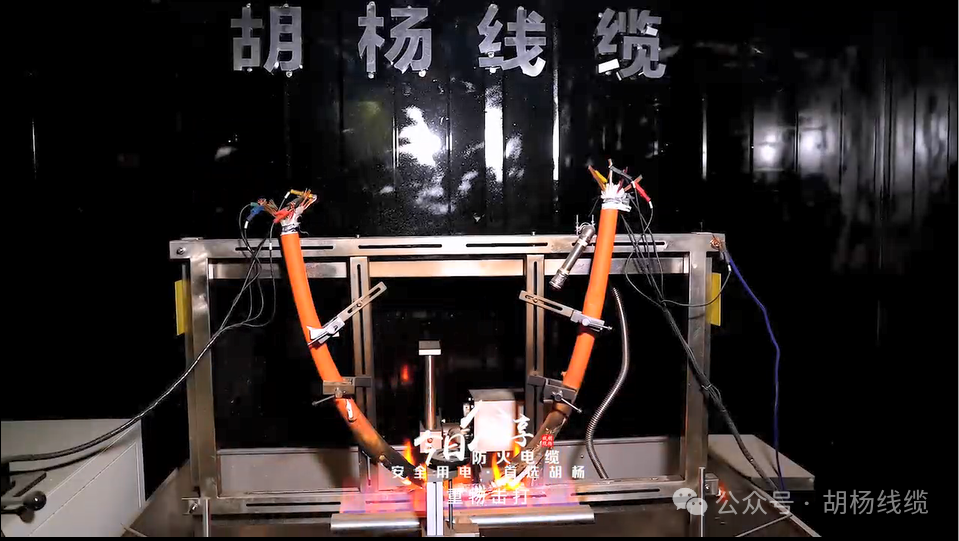 1748581842992312.png 圖片 5.png