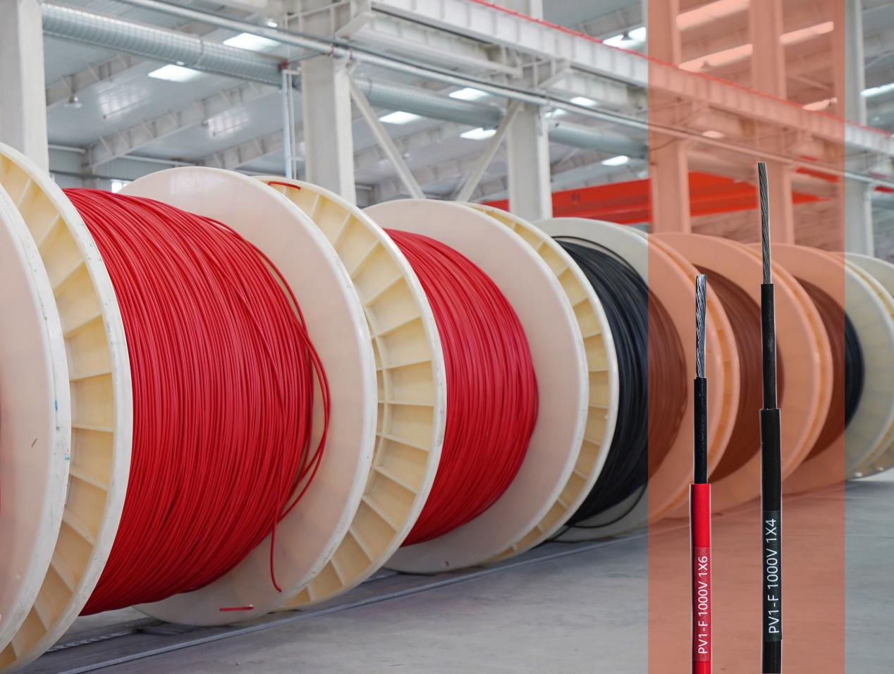 1755933120309828.png 圖片 4.png